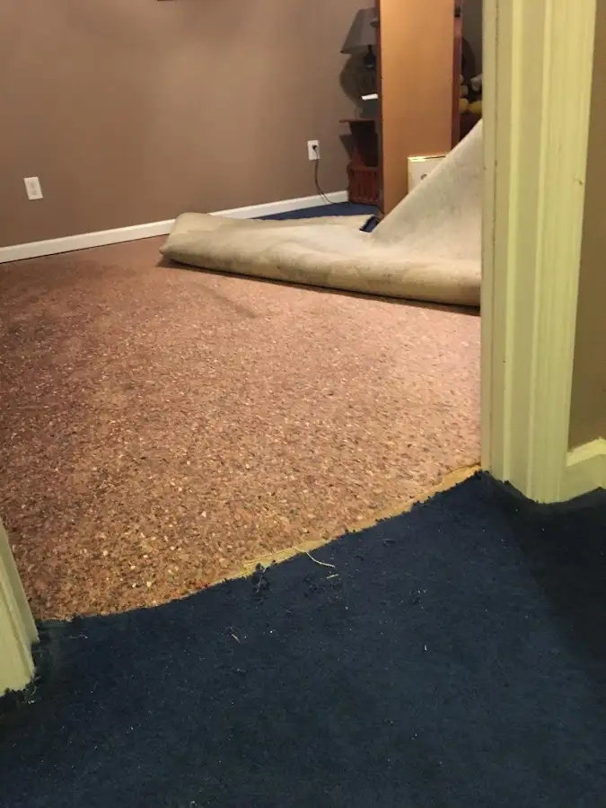 Carpet pad removal revealing water damage during Water Mitigation Services in St. Augustine Shores