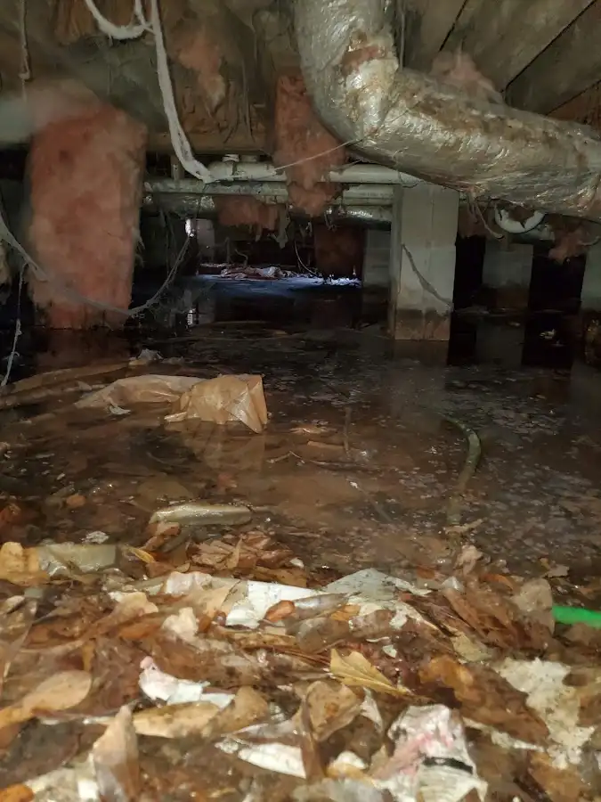 Crawl space flood assessment for Commercial Water Damage Restoration in St. Augustine Shores