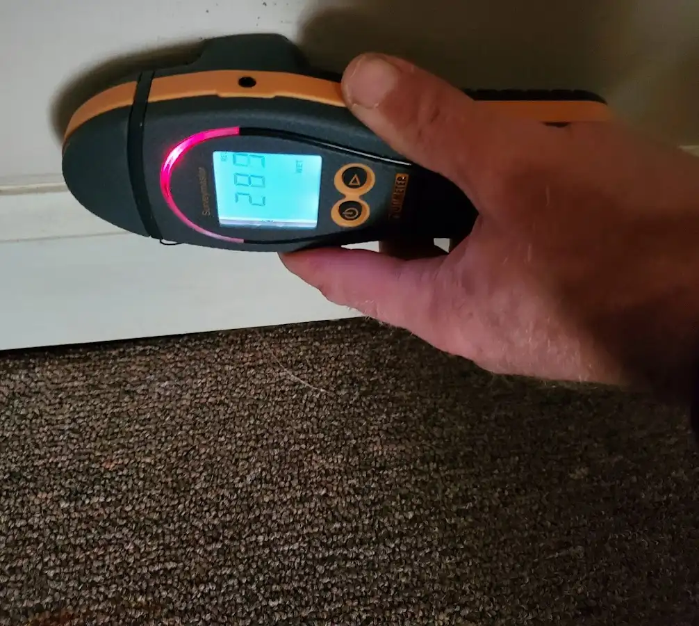 Moisture detection at baseboard during Mold Inspection & Testing in St. Augustine Shores