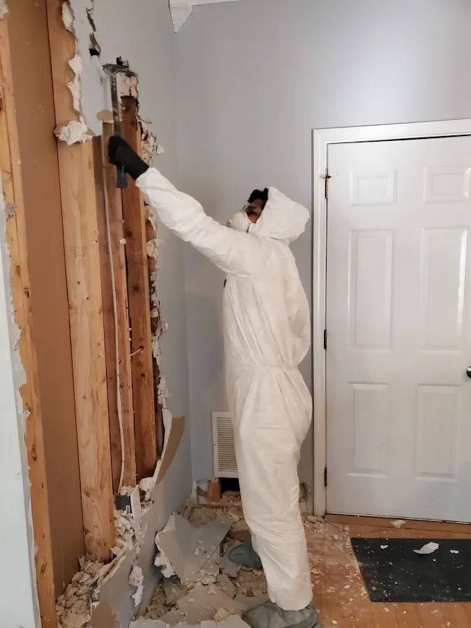 Mold Inspection & Testing in St. Augustine Shores, FL